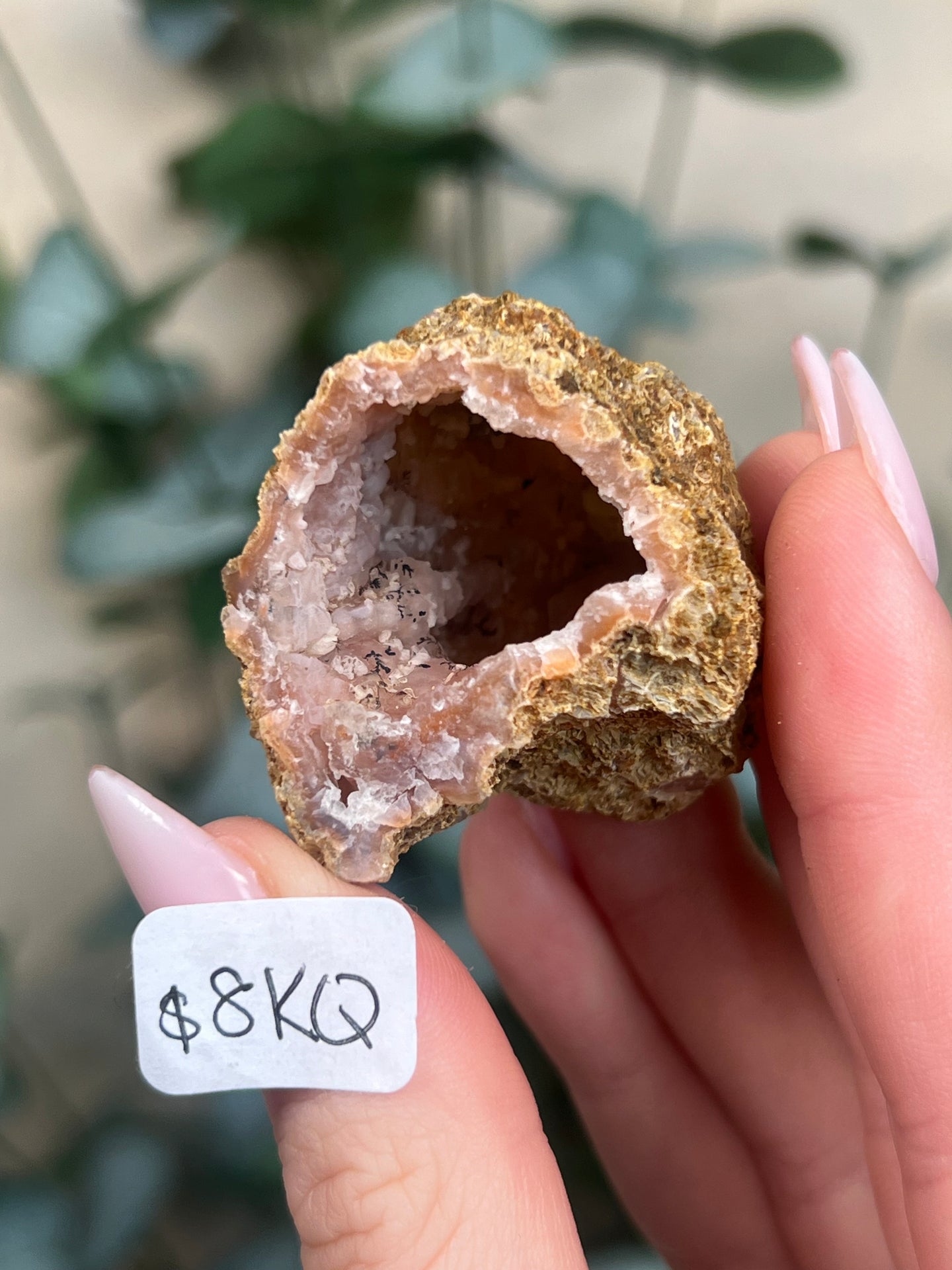 Pink Chalcedony Geodes (8 options)